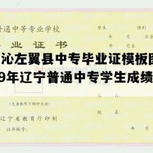 喀喇沁左翼县中专毕业证模板图片(2009年辽宁普通中专学生成绩单）