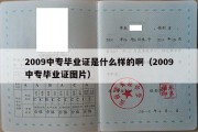 2009中专毕业证是什么样的啊（2009中专毕业证图片）