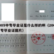 2009中专毕业证是什么样的啊（2009中专毕业证图片）