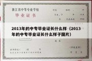 2013年的中专毕业证长什么样（2013年的中专毕业证长什么样子图片）