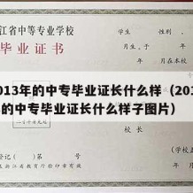 2013年的中专毕业证长什么样（2013年的中专毕业证长什么样子图片）