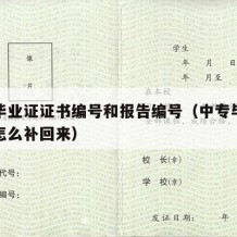 中专毕业证证书编号和报告编号（中专毕业证丢了怎么补回来）