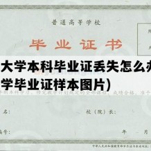 开放大学本科毕业证丢失怎么办(开放大学毕业证样本图片)