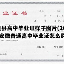 临泉县高中毕业证样子图片(2004年安徽普通高中毕业证怎么购买）