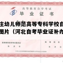 石家庄幼儿师范高等专科学校自考毕业证图片（河北自考毕业证补办流程）