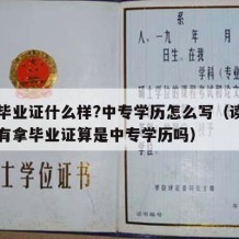 中专毕业证什么样?中专学历怎么写（读了中专没有拿毕业证算是中专学历吗）