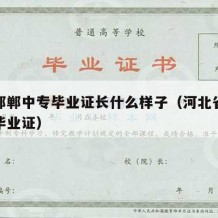 河北邯郸中专毕业证长什么样子（河北省普通中专毕业证）