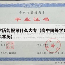 高中学历能报考什么大专（高中同等学力报考指什么学历）