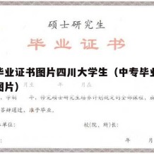 中专毕业证书图片四川大学生（中专毕业证书模板图片）