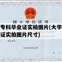 大学专科毕业证实拍图片(大学专科毕业证实拍图片尺寸)