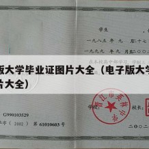 电子版大学毕业证图片大全（电子版大学毕业证图片大全）