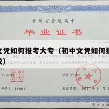 初中文凭如何报考大专（初中文凭如何报考大专学校）