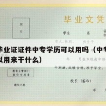 中专毕业证证件中专学历可以用吗（中专毕业证可以用来干什么）