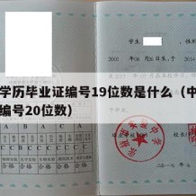 中专学历毕业证编号19位数是什么（中专毕业证编号20位数）