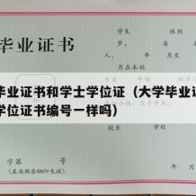 大学毕业证书和学士学位证（大学毕业证书和学士学位证书编号一样吗）