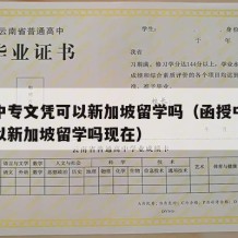 函授中专文凭可以新加坡留学吗（函授中专文凭可以新加坡留学吗现在）