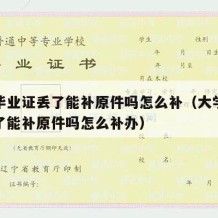 大学毕业证丢了能补原件吗怎么补（大学毕业证丢了能补原件吗怎么补办）