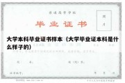 大学本科毕业证书样本（大学毕业证本科是什么样子的）