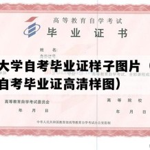 广西大学自考毕业证样子图片（广西成人自考毕业证高清样图）