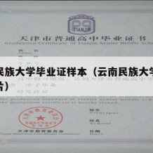 云南民族大学毕业证样本（云南民族大学毕业证图片）