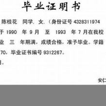 毕业证明可以代替毕业证吗(毕业证书可以代替学历证明吗)