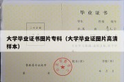 大学毕业证书图片专科（大学毕业证图片高清样本）