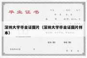 深圳大学毕业证图片（深圳大学毕业证图片样本）