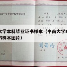 中南大学本科毕业证书样本（中南大学本科毕业证书样本图片）