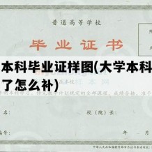 大学本科毕业证样图(大学本科毕业证丢了怎么补)