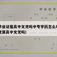 中专毕业证是高中文凭吗中专学历怎么填（中专文凭算高中文凭吗）