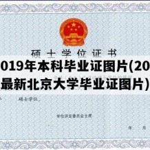 2019年本科毕业证图片(2019最新北京大学毕业证图片)