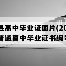 怀集县高中毕业证图片(2021年广东普通高中毕业证书编号）