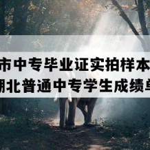 枝江市中专毕业证实拍样本(2003年湖北普通中专学生成绩单）