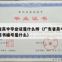 广东省高中毕业证是什么样（广东省高中毕业证的证书编号是什么）