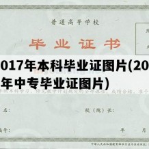 2017年本科毕业证图片(2017年中专毕业证图片)