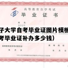 石河子大学自考毕业证图片模板（新疆自考毕业证补办多少钱）