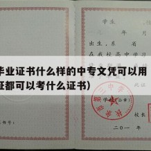 中专毕业证书什么样的中专文凭可以用（中专毕业证都可以考什么证书）