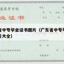 广东省中专毕业证书图片（广东省中专毕业证书图片大全）