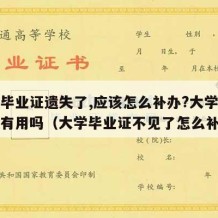 大学毕业证遗失了,应该怎么补办?大学毕业证还有用吗（大学毕业证不见了怎么补办）