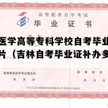 白城医学高等专科学校自考毕业证样本图片（吉林自考毕业证补办多少钱）