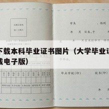 怎么下载本科毕业证书图片（大学毕业证书怎么下载电子版）