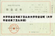 大学毕业证书丢了怎么补大学毕业证呢（大学毕业证丢了怎么补回）