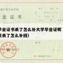 大学毕业证书丢了怎么补大学毕业证呢（大学毕业证丢了怎么补回）