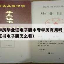 中专学历毕业证电子版中专学历有用吗（中专毕业证书电子版怎么看）