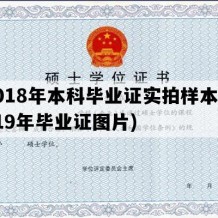 2018年本科毕业证实拍样本(2019年毕业证图片)