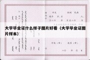 大学毕业证什么样子图片好看（大学毕业证图片样本）