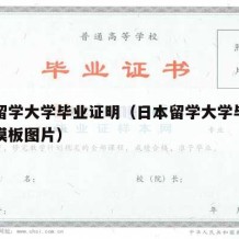 日本留学大学毕业证明（日本留学大学毕业证明书模板图片）