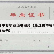 浙江省中专毕业证书图片（浙江省中等专业学校毕业证书）