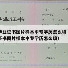 中专毕业证书图片样本中专学历怎么填（中专毕业证书图片样本中专学历怎么填）