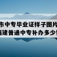 南安市中专毕业证样子图片(2010年福建普通中专补办多少钱）